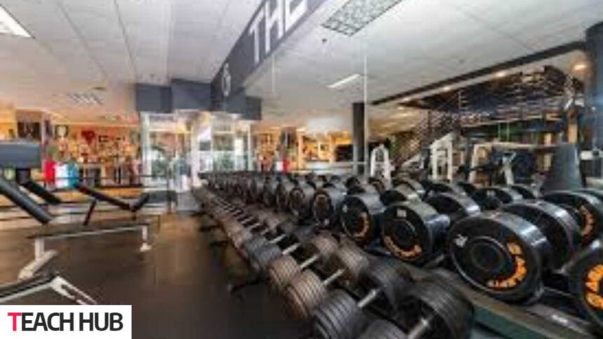 World Gym San Diego Reviews