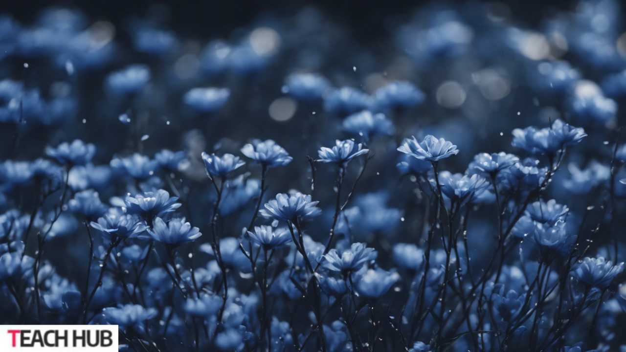 Dark Blue Wallpaper